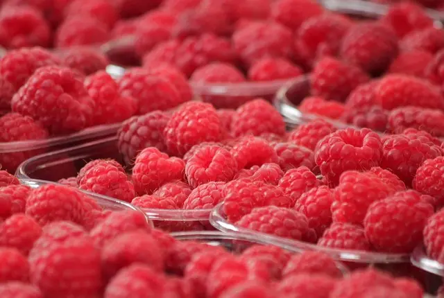 Comment évaluer la qualité des produits bio : Guide pratique