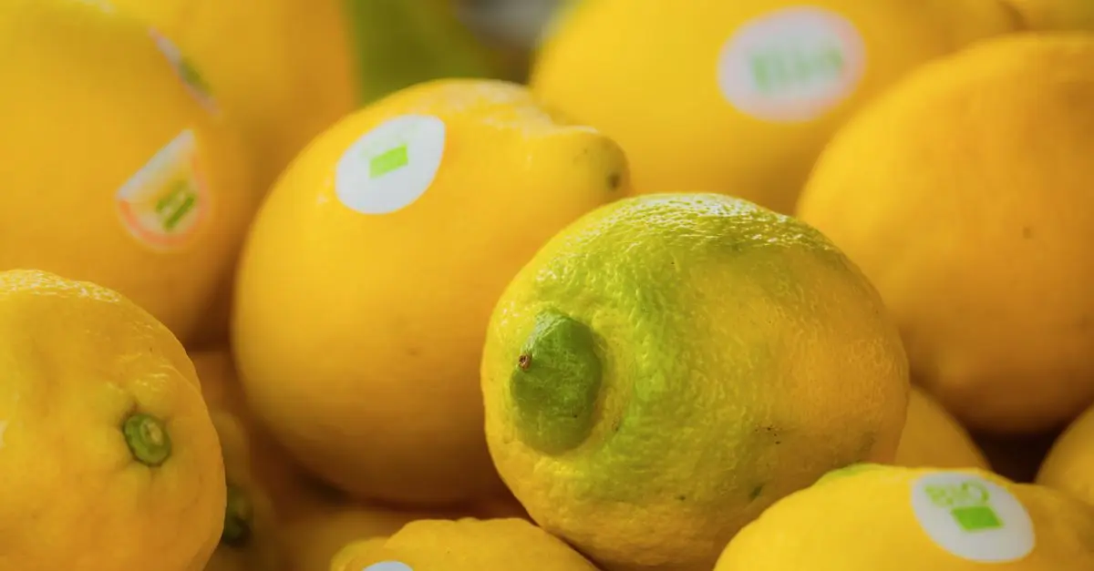 Comment bien choisir ses produits bio pour la maison