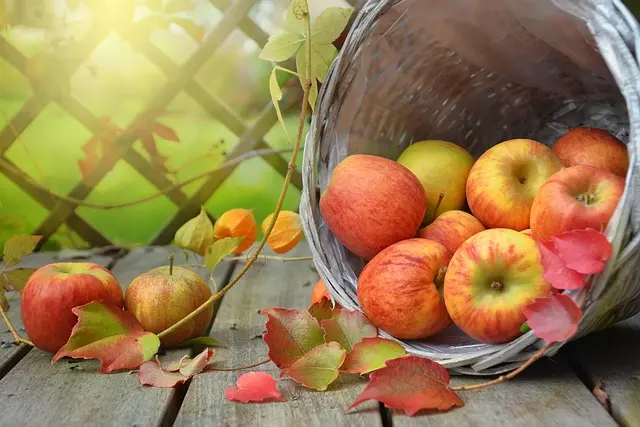 5 conseils pour choisir des fruits bio de saison