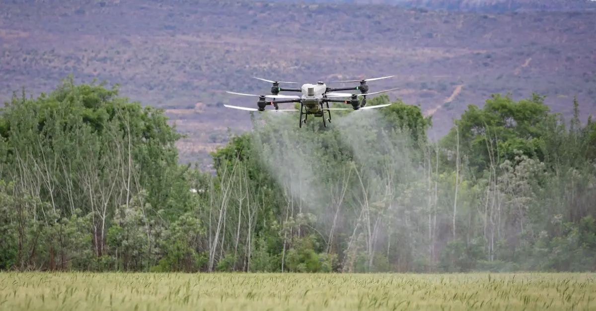 Évolution des tendances bio en 2026 : Quoi de neuf ?