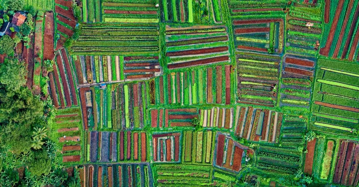 Les bienfaits méconnus des produits bio pour l'environnement