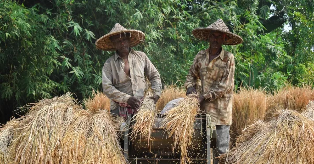 La filière bio et sa contribution à l'économie locale