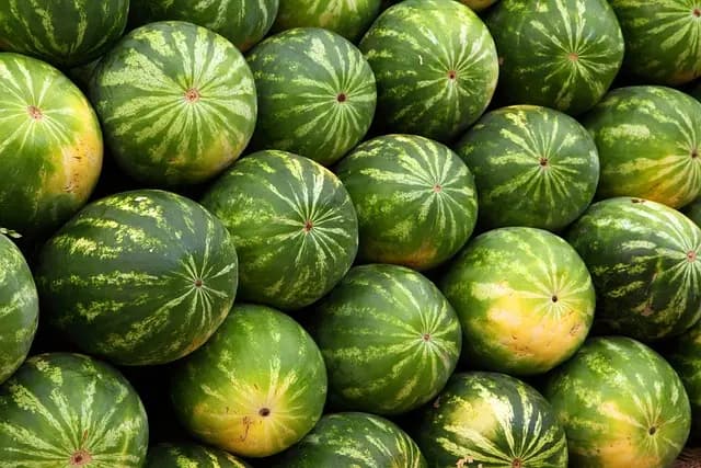 5 astuces pour choisir des produits bio de qualité