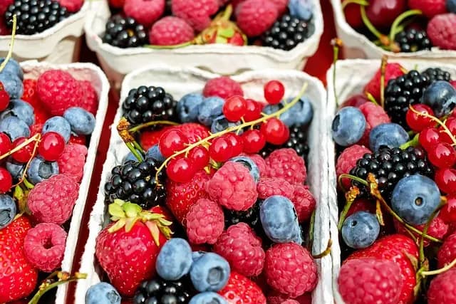 Comment choisir les produits bio pour un mode de vie sain