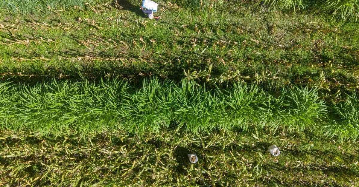 Les tendances bio à suivre en 2026 : Innover pour un avenir durable