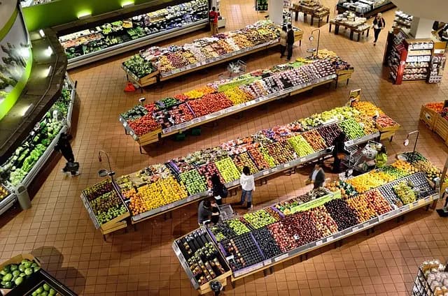 Comment choisir des produits bio de qualité : Guide pratique