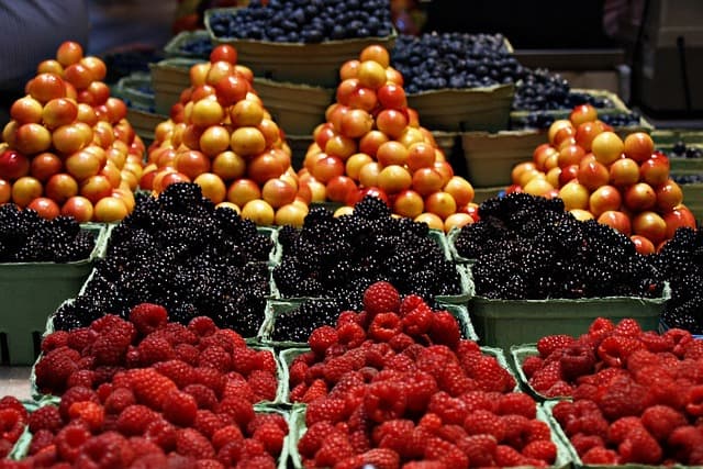 Les critères essentiels pour choisir des produits bio de qualité